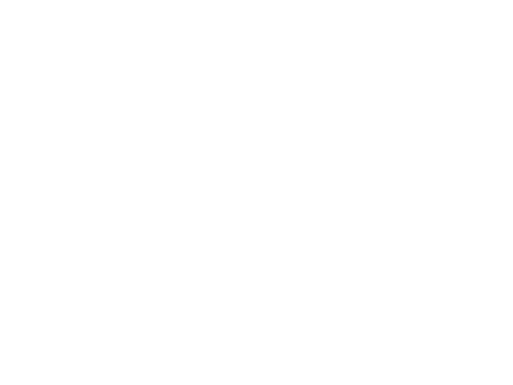 premium life logo